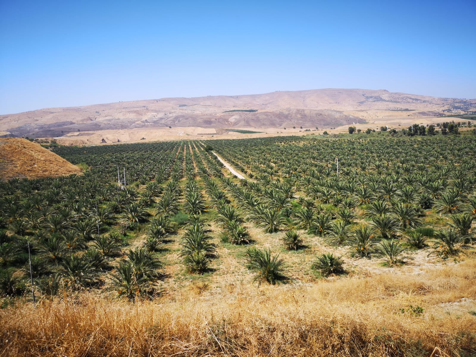 Processing Equipment